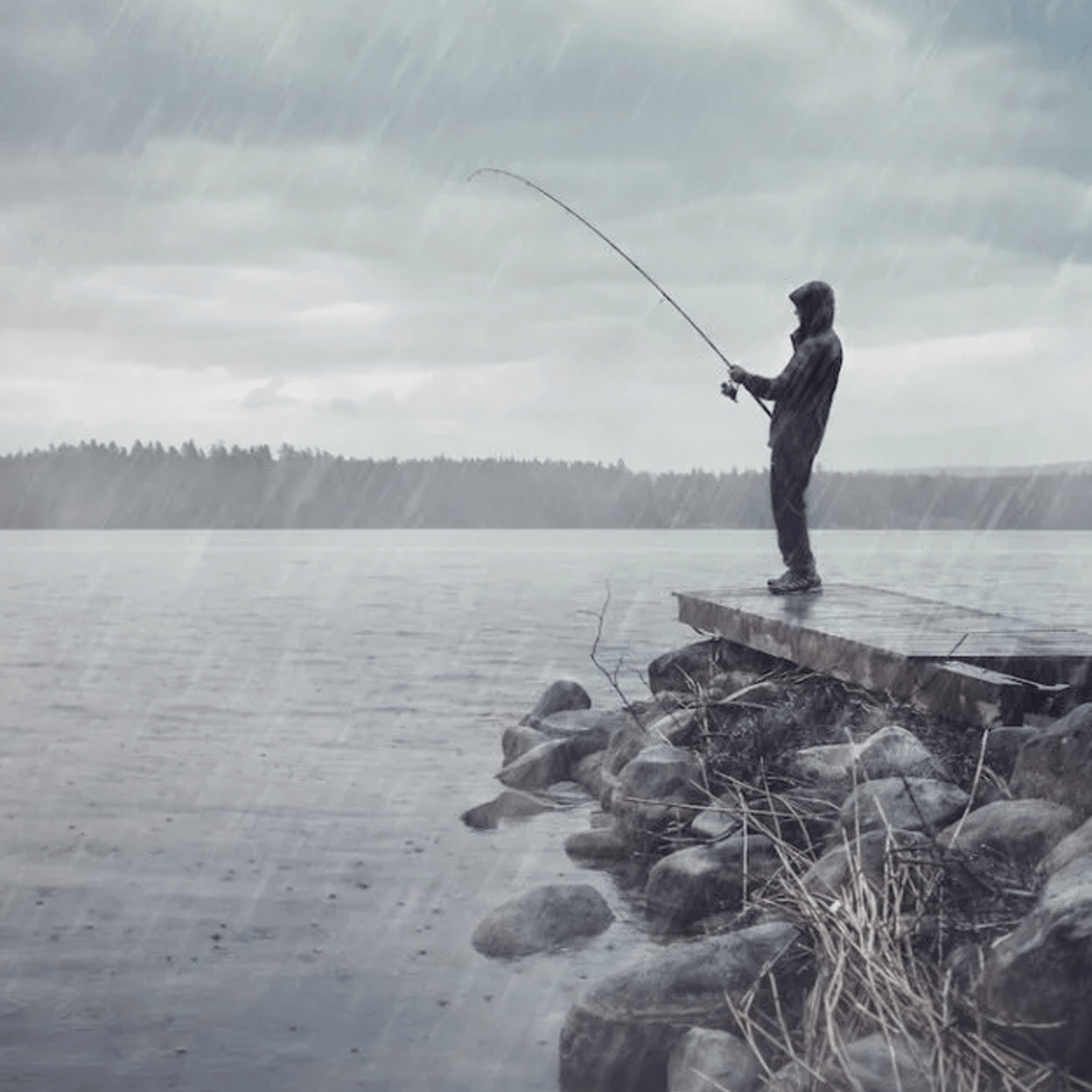 Fishing in the rain